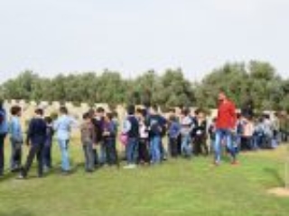 9. Children from an educational institution operating in the Gaza Strip visit the Gaza War Cemetery (Photo courtesy of CWGC)