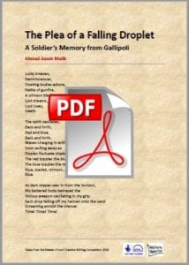 creative writing describing a soldier